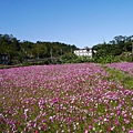P1100544.JPG