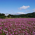 P1100541.JPG