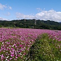 P1100546.JPG