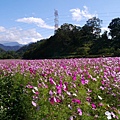 P1100545.JPG
