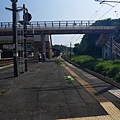 P1020532.JPG