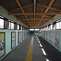 P1020533.JPG