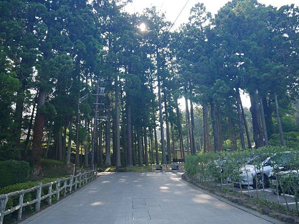P1020543.JPG