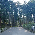 P1020543.JPG