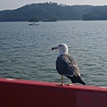 P1020575.JPG