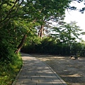 P1020578.JPG