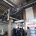 1040340.jpg
