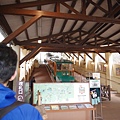 1040459.jpg