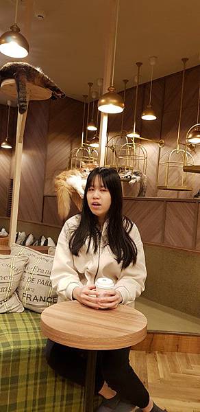 20190126_121439.jpg