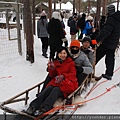 雪地哈士奇犬拉雪撬2015.02.19---3.jpg