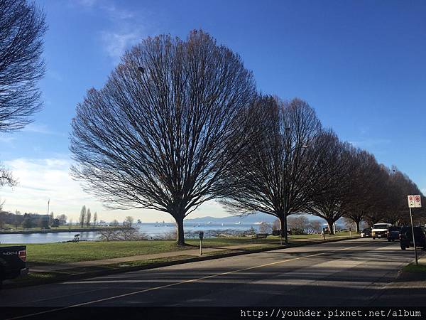 20160209_史丹利公園裡的優美景色。-9.jpg