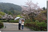 2016.04.07八阪神社、圓山公園。-10