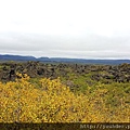 20170829_這些火山熔岩形成的特殊地理景觀就是黑色城堡。.jpg