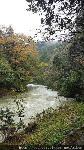 20171029_鶴仙溪沿途的美麗『楓』景5.jpg