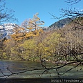 20171031_雪山、楓黃，美景天成。.jpg