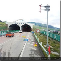 20180616_182341離開賽里木湖，往下個景點--果子溝。行車經過。