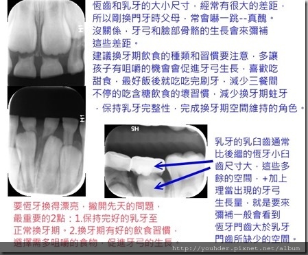 換牙期的問題