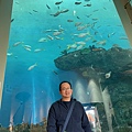 尼克斯海洋公園巨大的水族館2023.05.31.jpg