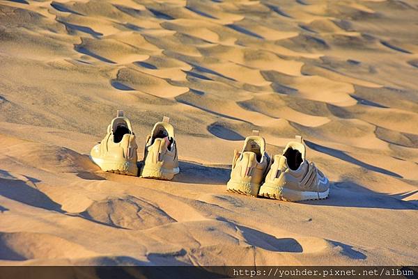 撒哈拉沙漠--旅人的鞋.jpg