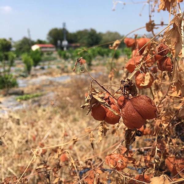 29572253_1871242389561022_1926257219482009629_n.jpg 29572253_1871242389561022_1926257219482009629_n.jpg