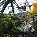 n734555344_1807216_4910124.jpg