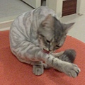 300420091133.jpg