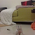 300420091139.jpg