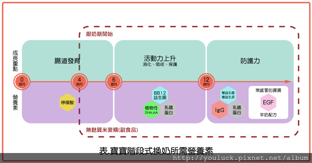 階段式換奶-Outline.png