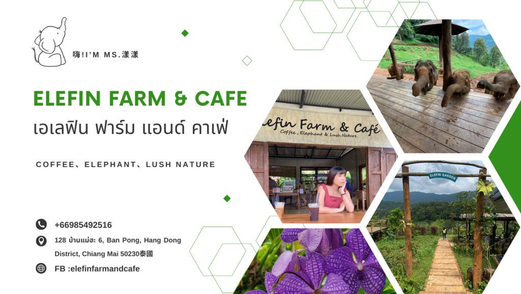 【​​AN's愛旅遊】清邁Elefin Farm & Caf