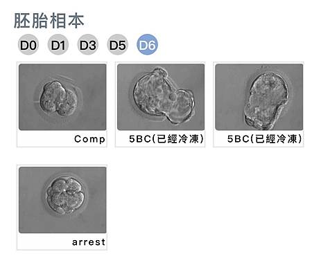 D6下午.jpg