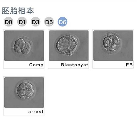 d6早上.jpg