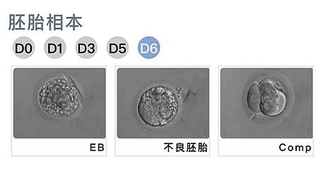 D6早上2.jpg