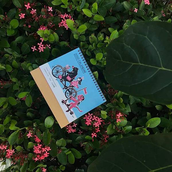 timeline_20191111_222519.jpg timeline_20191111_222519.jpg