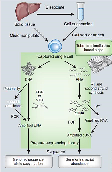 技術前沿單細胞定序的近況 1 有勁的基因資訊 痞客邦