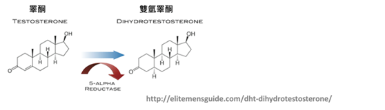 0816-1.png 0816-1.png