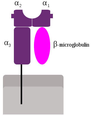 161229_1.png 161229_1.png