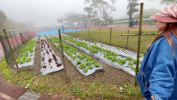 新竹尖石秘境!藏在雲霧裡的錦屏國小操場,不只跑跑跳跳,還有菜 新竹尖石秘境!藏在雲霧裡的錦屏國小操場,不只跑跑跳跳,還有菜