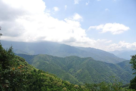 夏令營自然探索-東眼山上有魚貝化石 ？！(上集)