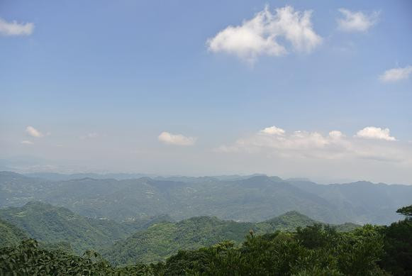 夏令營自然探索-東眼山上有魚貝化石 ？！(上集)