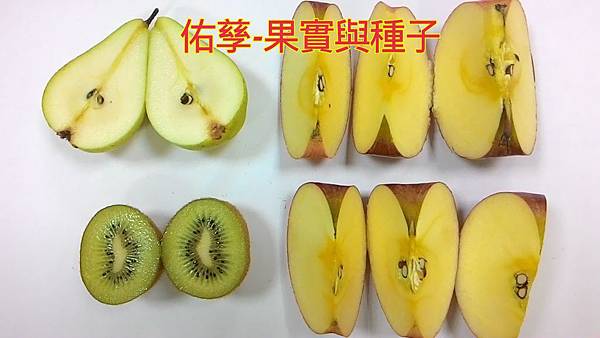 新竹市安親班-微生物與食品保存(5下自然)