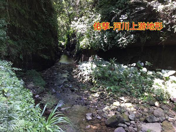 新竹市安親班 -自然河川地形與生態(5)(5下自然)