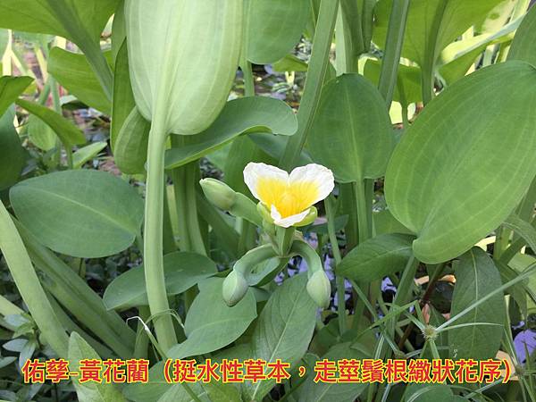IMG_7555.jpg IMG_7555.jpg