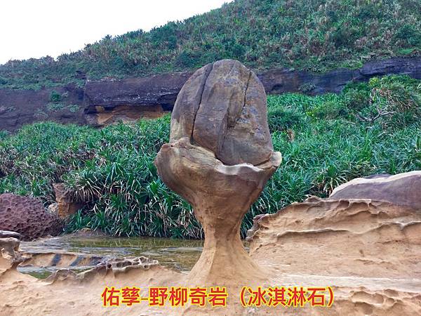 新竹市安親班-自然探索野柳地質教學(2)(5下自然)