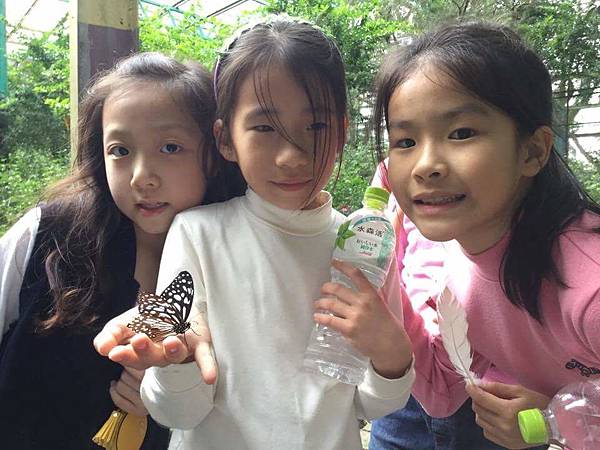 received_1249889571792857.jpeg received_1249889571792857.jpeg
