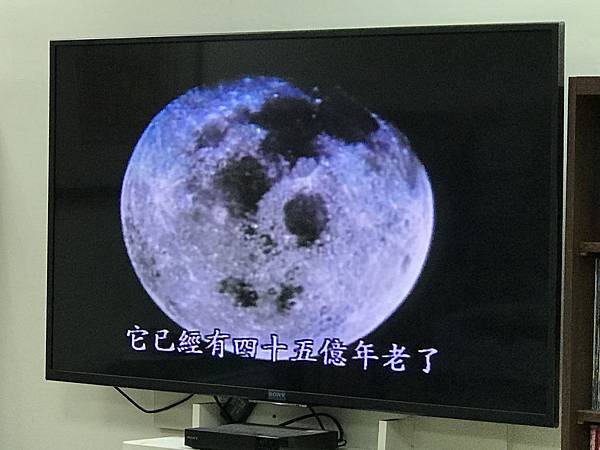 新竹市安親班-日、月、星辰(4上自然)