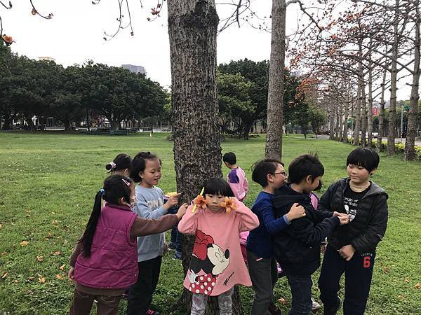 新竹市安親班-木棉花觀察日記