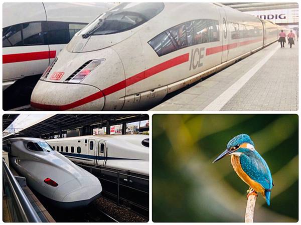 仿生教學-大自然來的絕妙點子