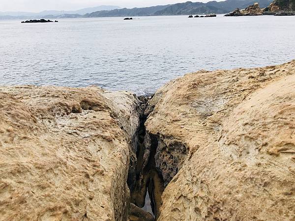 新竹市安親班-自然探索野柳地質教學(2)(5下自然)