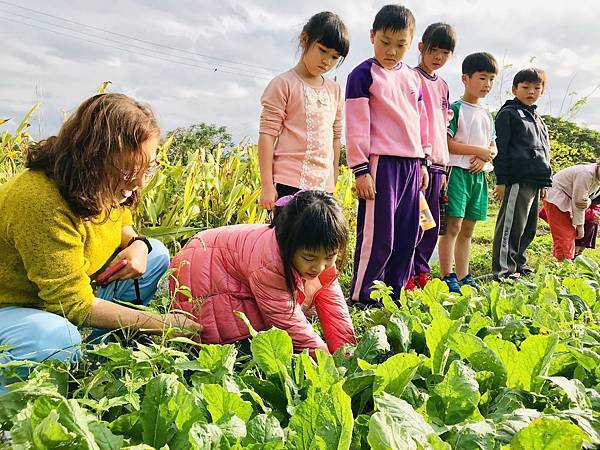 新竹市安親班-佑孳開心農場