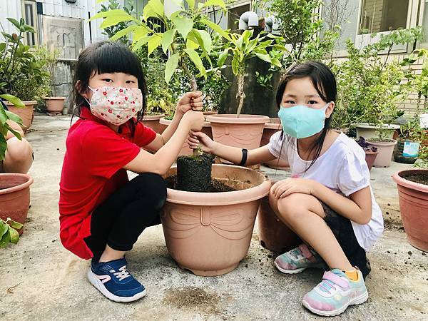 佑孳後花園生態教室